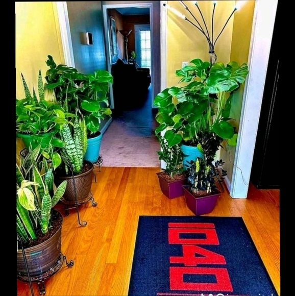 Meet your Posher, Bardette - Picture 5 of 6